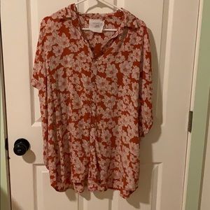 Acacia rust magnolia Mombasa